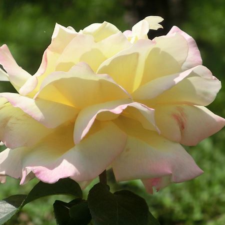 Missiano Weinhof Kager 아파트 외부 사진