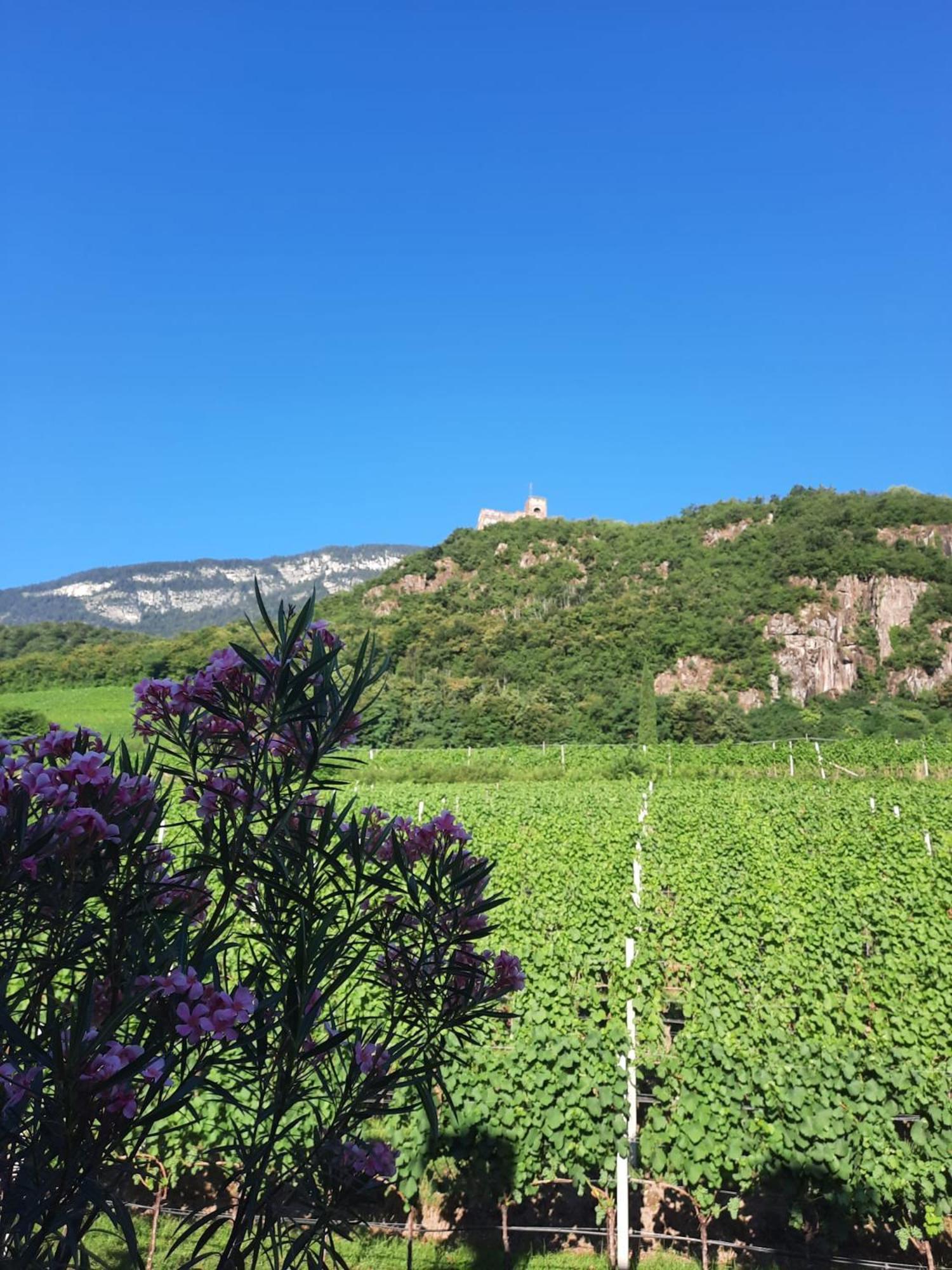 Missiano Weinhof Kager 아파트 외부 사진